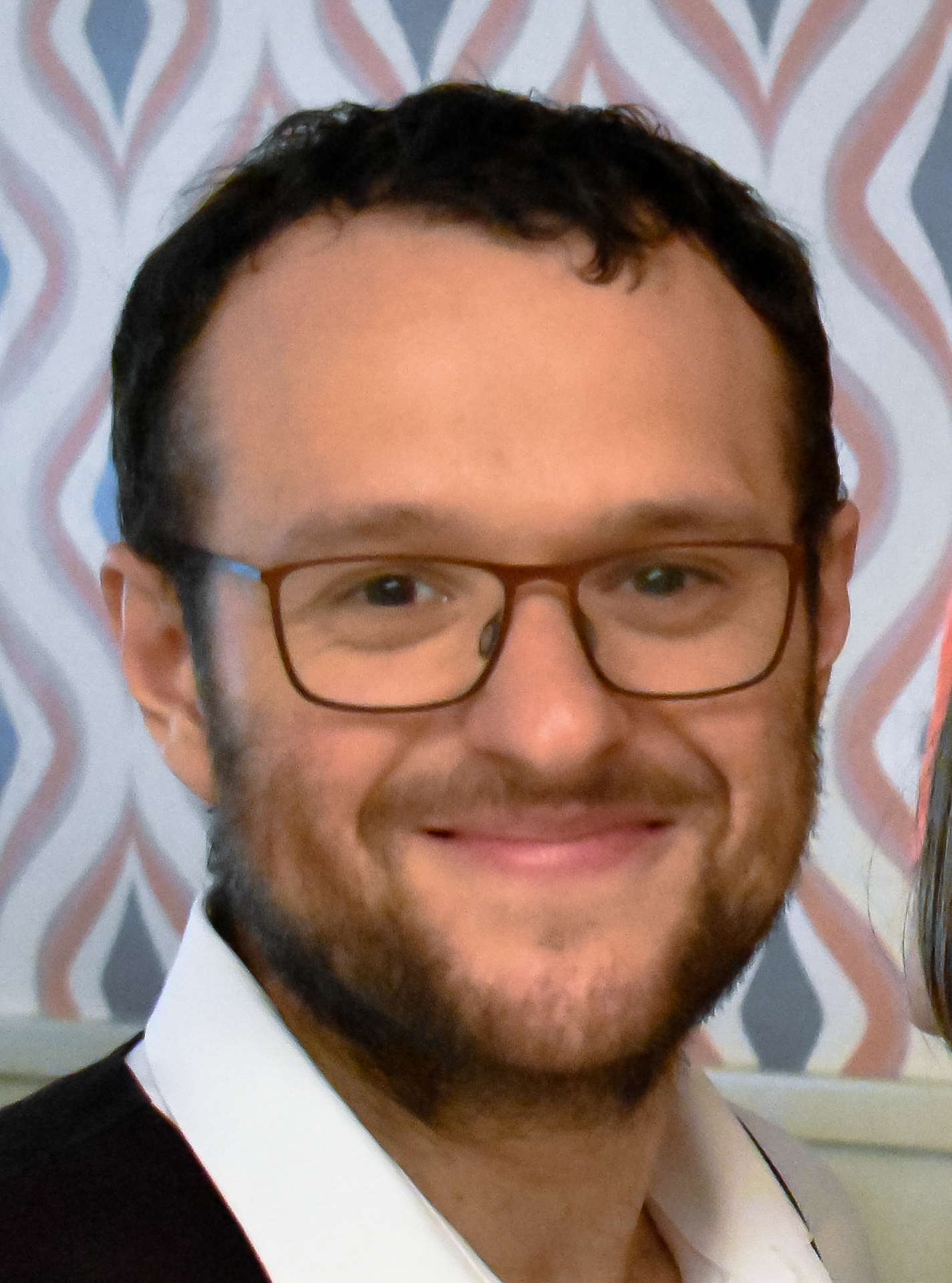 Luka Borkovic